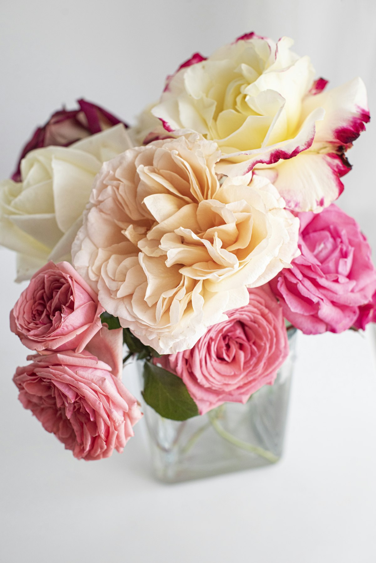 Composition de fleurs éternelles